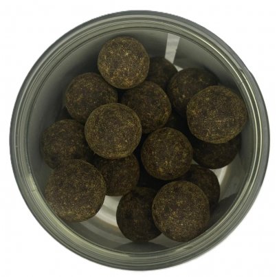 Nash Boilies Signal Coated Hookbaits Scopex Squid 24mm 12ks