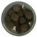 Nash Boilies Signal Coated Hookbaits Scopex Squid 15mm 30ks